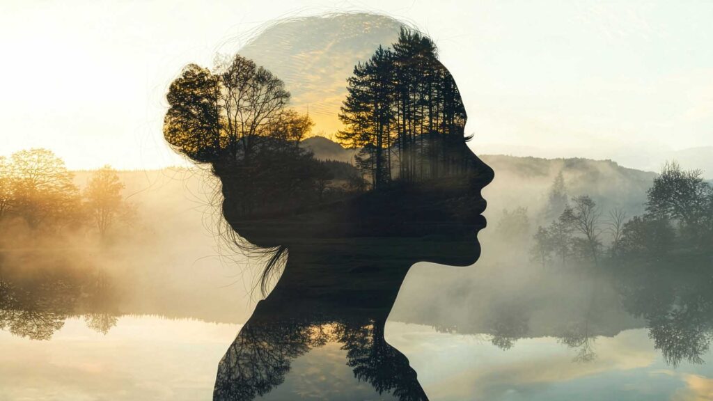 Intuitive Foundations | Intuitive Development Course for Beginners